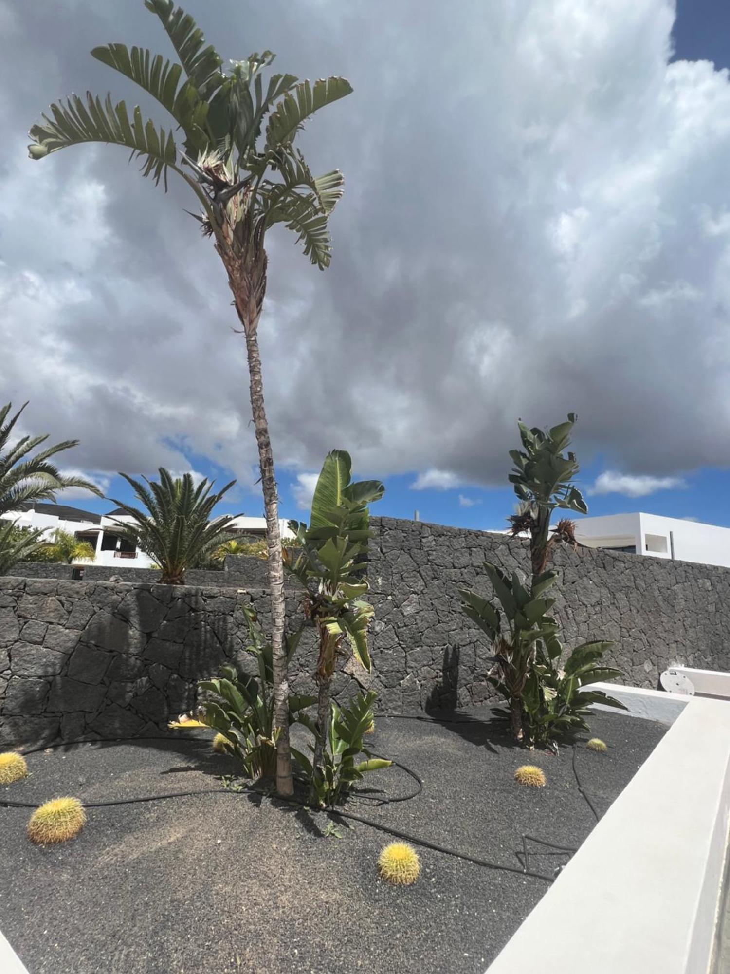 Villa Dedalos Puerto Calero Exterior foto